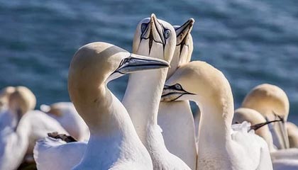 开云官方网站-欧国联最新消息曝光，国家队豪取欧锦赛战胜利，欧国联比赛赛程