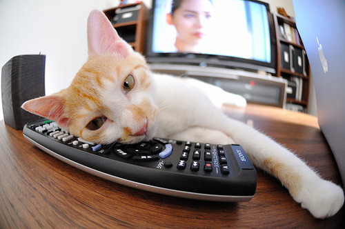 开云体育APP下载-_运动员日常：训练、休闲、互动全纪录_，运动员的日常