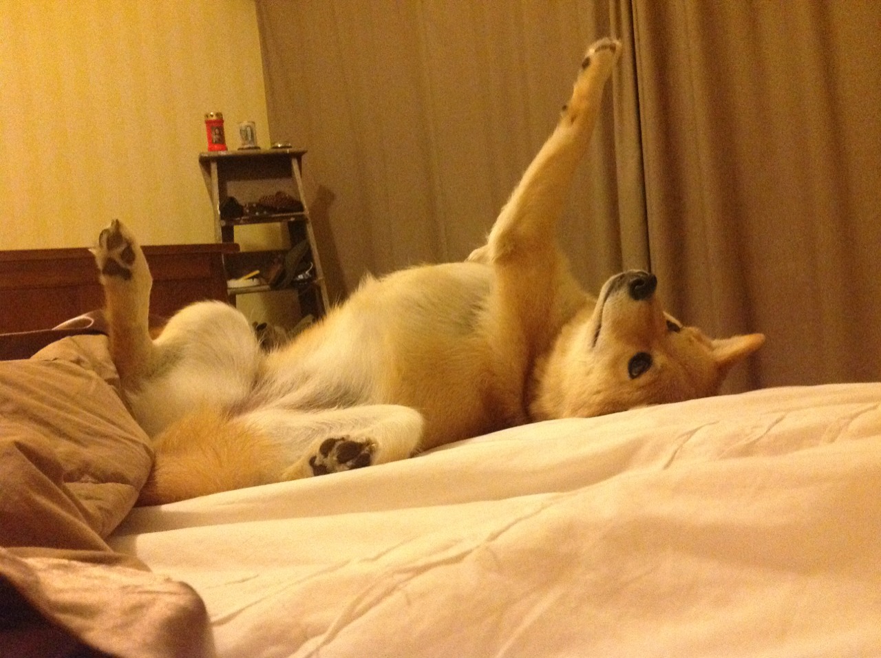 开云·体育官网-全球车迷聚会盛典：现场气氛爆棚，车迷俱乐部是干嘛的