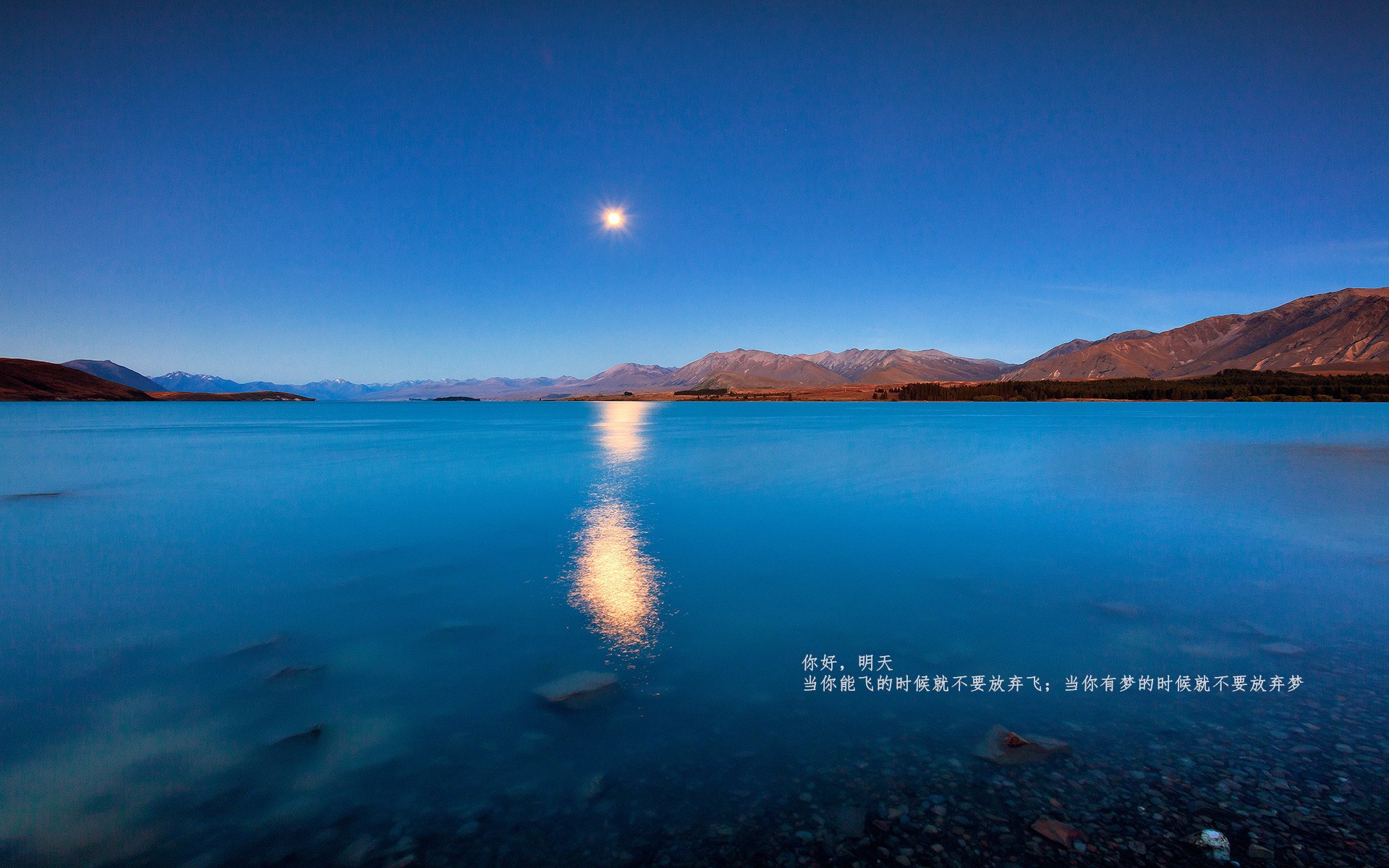 丹麦战队 Astralis 在 PGL Major 中获得亚军,丹麦队员怎么了