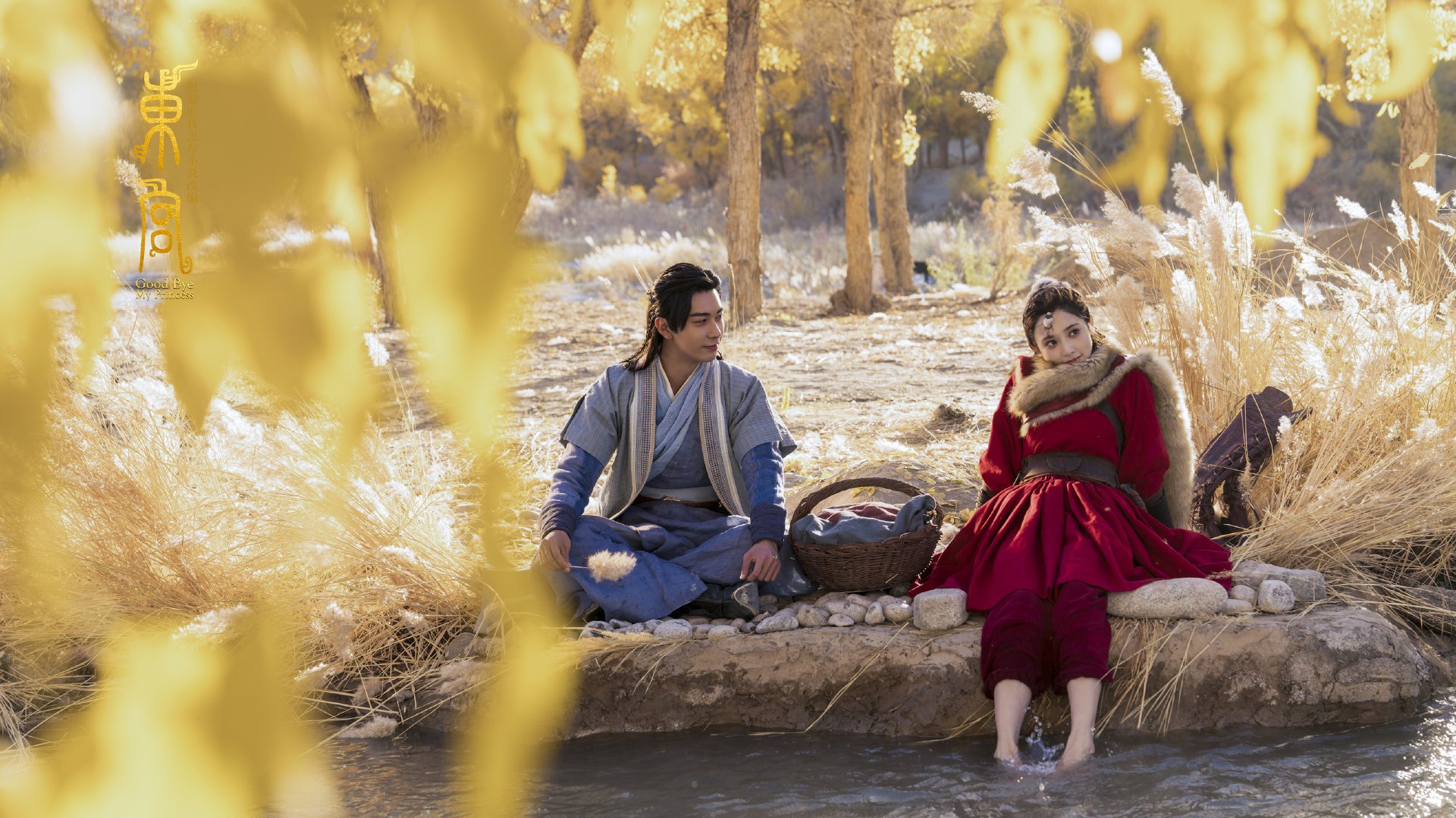 保利斯塔篮板球表现抢眼，巴西保利斯塔篮球联赛