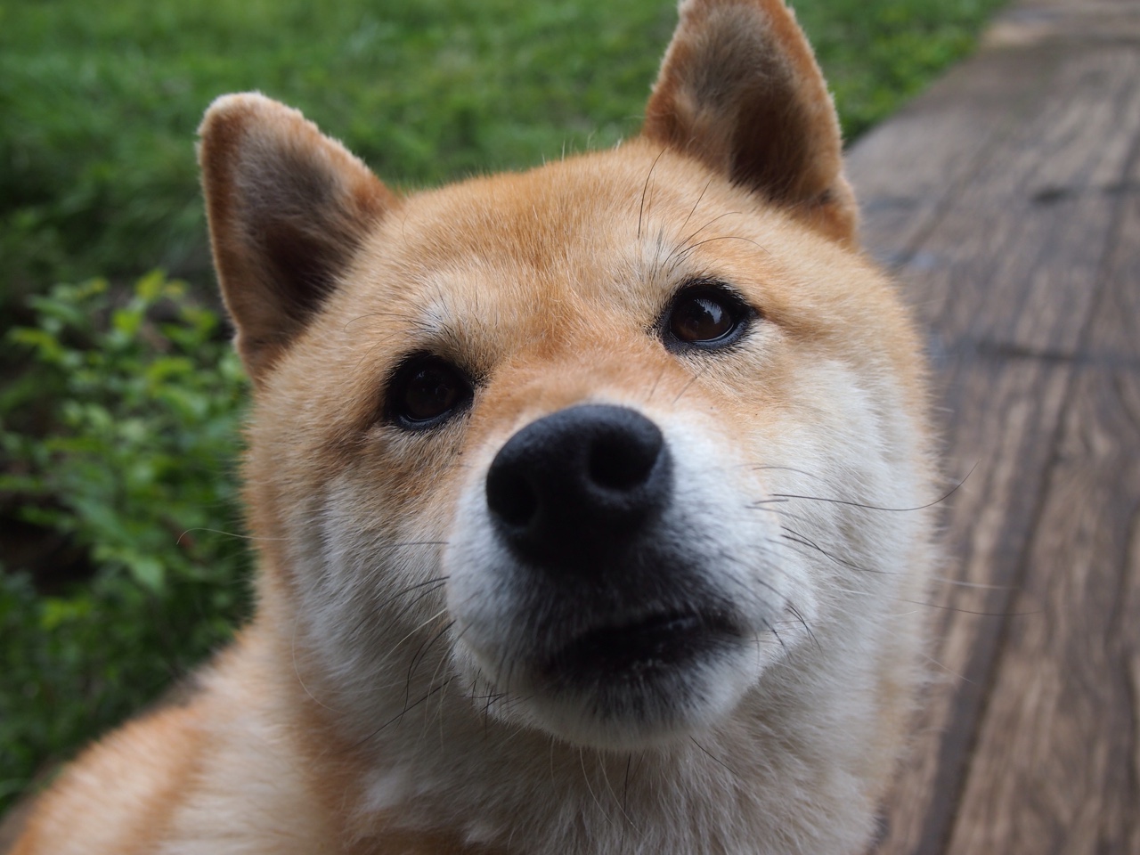 勇士再现冠军气质库里引爆主场,勇士库里经典比赛视频全程