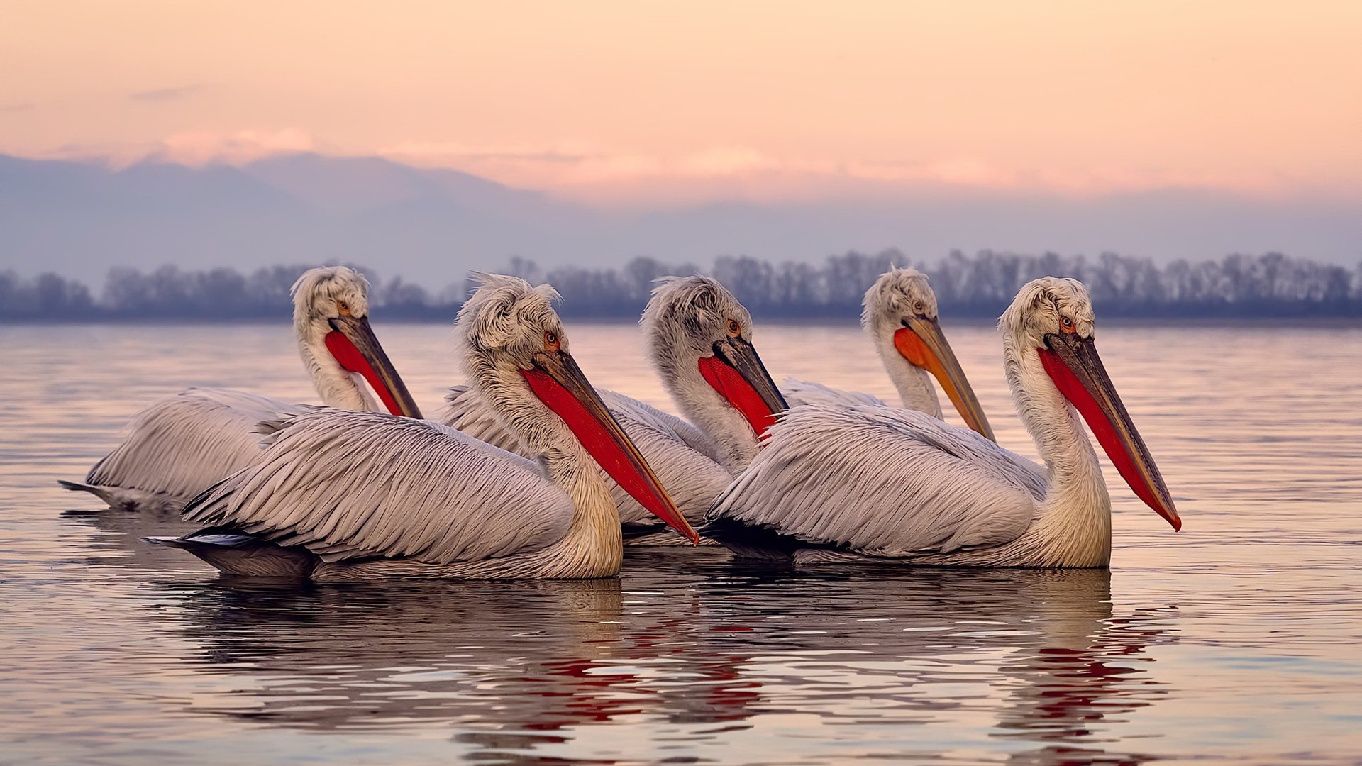 意大利在国家联赛中1-0小胜以色列,保持不败战绩。,意大利小组赛全胜