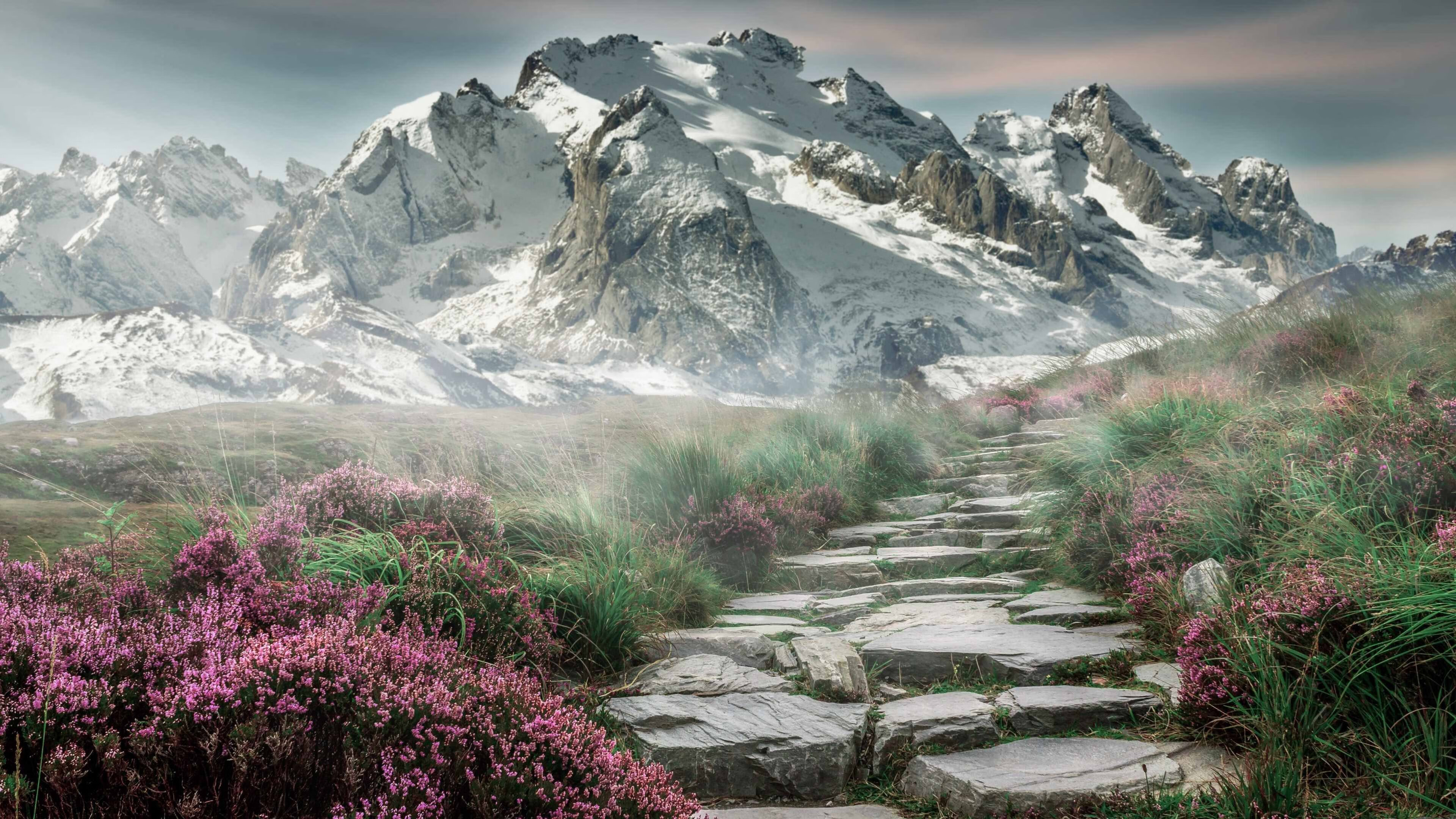 荷兰国家队备战备受关注,欧锦赛看台热闹,荷兰 欧锦赛