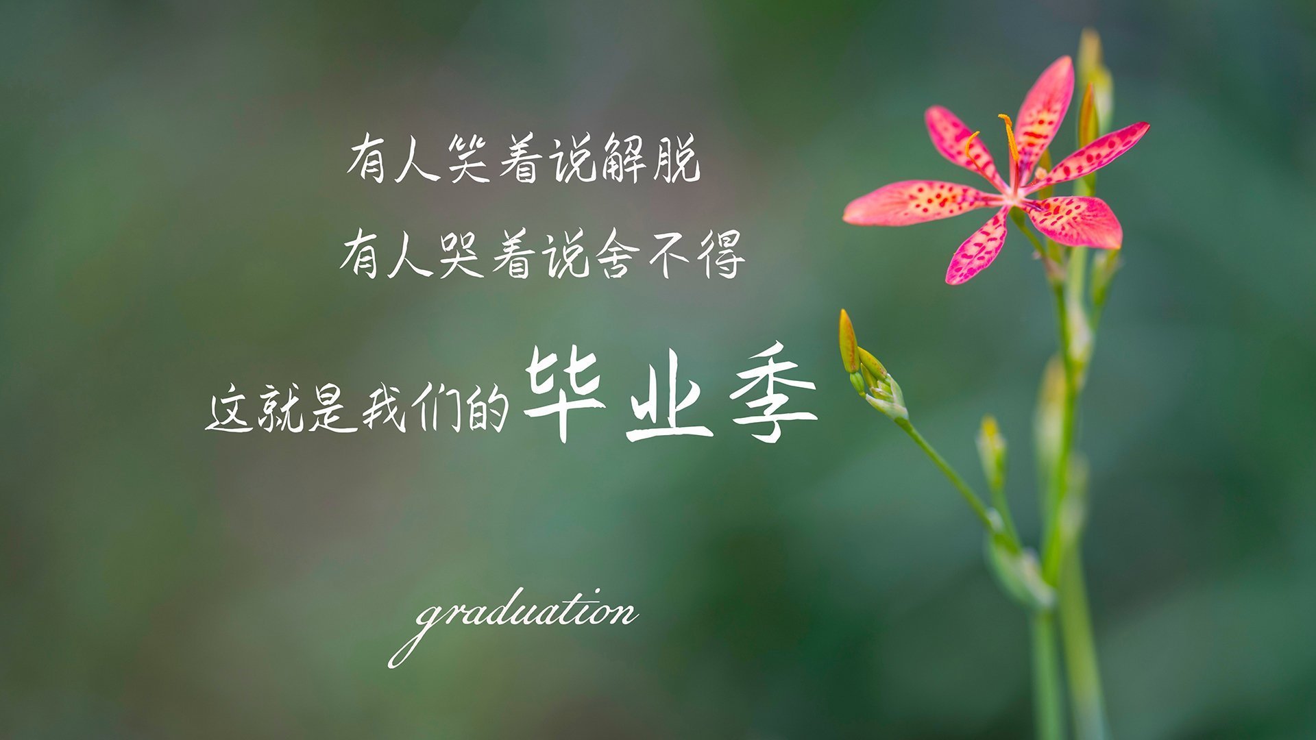 开云·体育官网-詹姆斯带伤作战仍砍下高分，詹姆斯出战