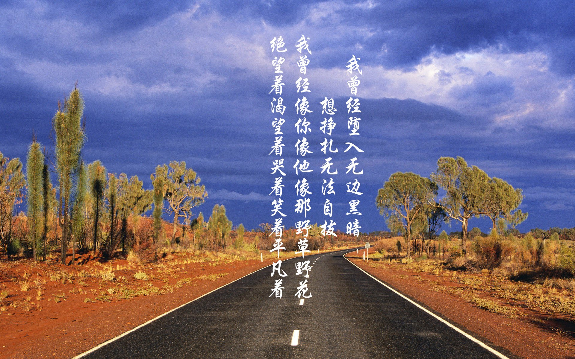 贝内文托战胜蓝鹰,守卫主场稳定积分榜排名,贝内文托战绩500