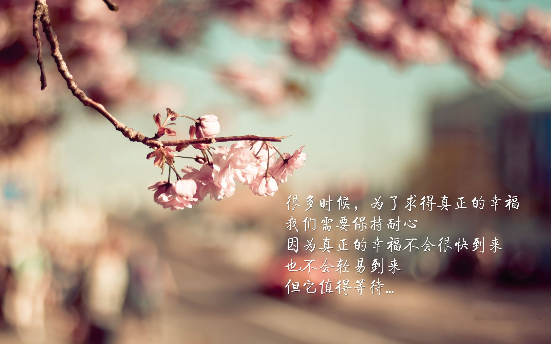 阿森纳进攻多点开花,枪手冲击冠军,阿森纳枪王