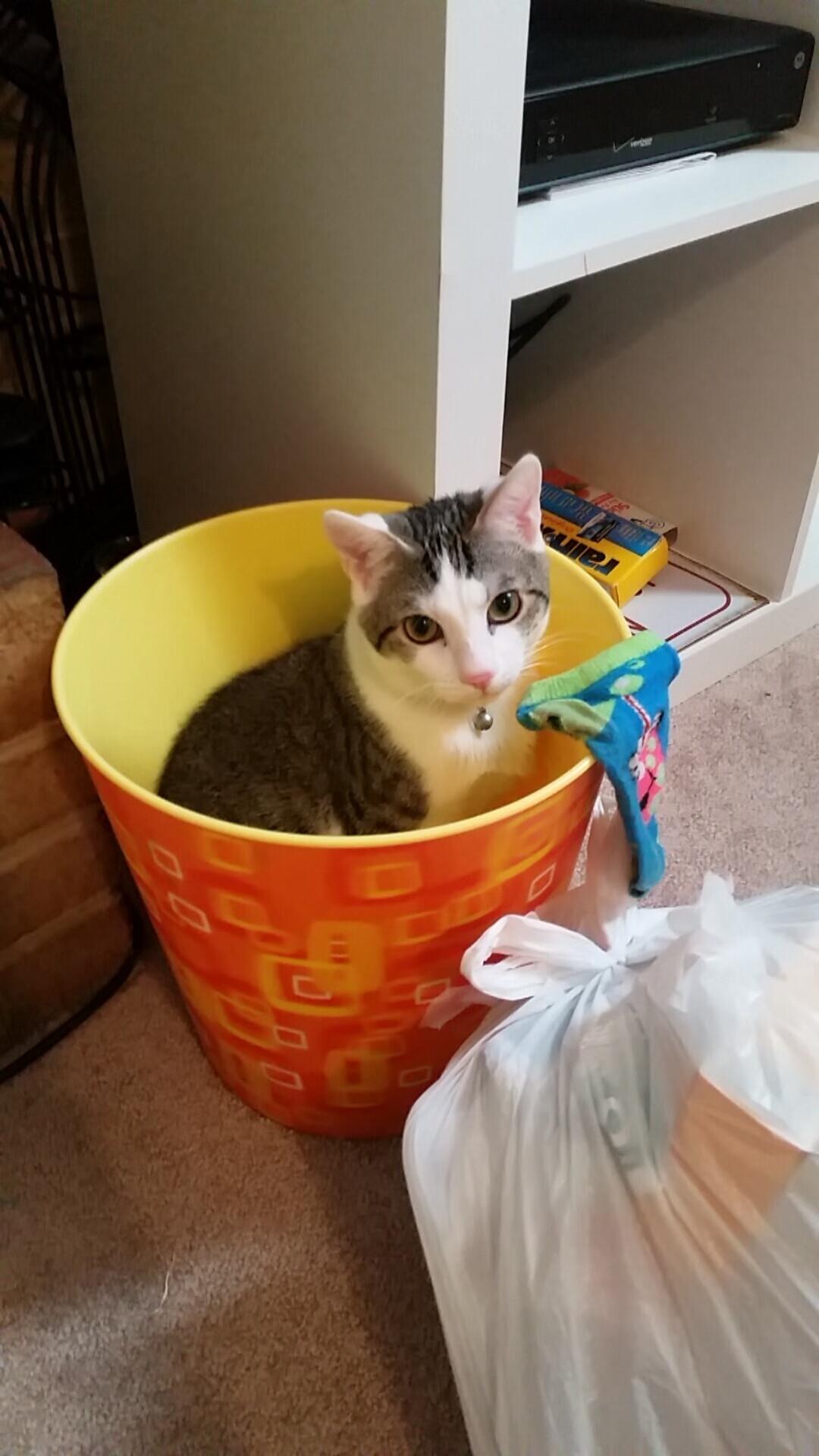 中超球队年度有效控场回合总量排行,中超16支球队主场球场