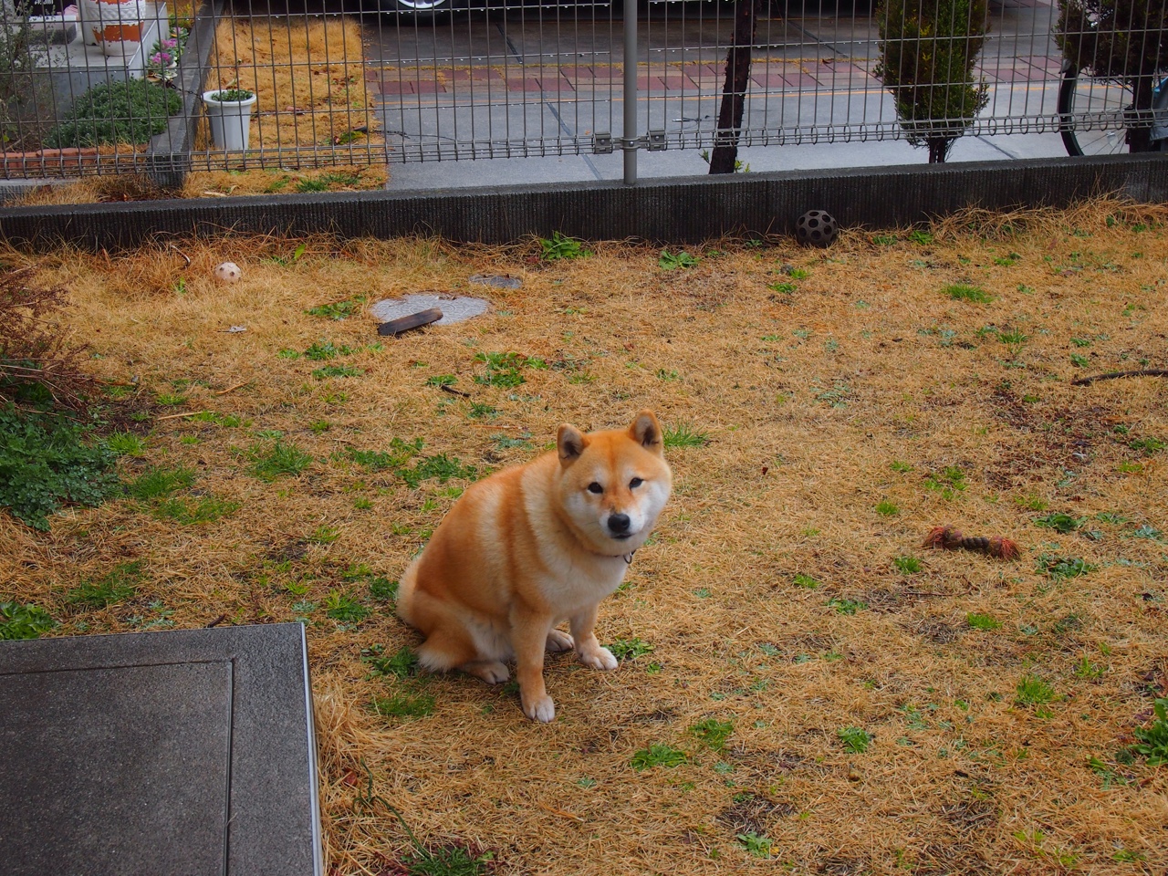 kaiyun.com-篮球运动员专项技能动作视频教学平台设计与应用，篮球运动技能简介