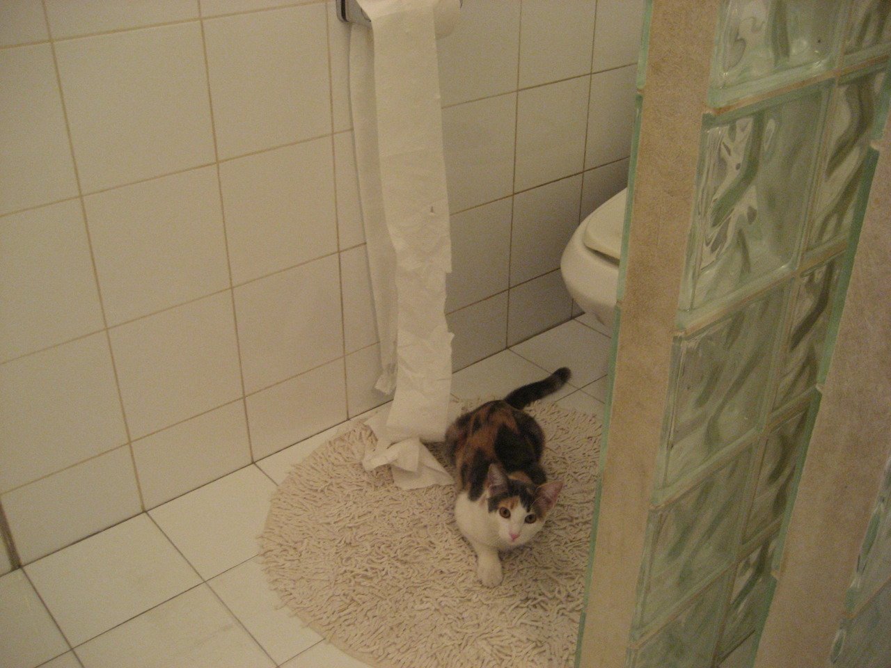 开云平台-青少年体育运动行为规律研究，青少年体育锻炼现状