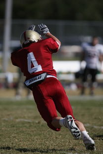 开云·Kaiyun网页版-五大联赛最具统治力的球队如何打造，五大联赛良心球队