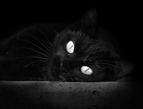 Kaiyun官方登录入口-双线作战球队是否比单线球队更善于调整节奏，双线作战球队是否比单线球队更善于调整节奏