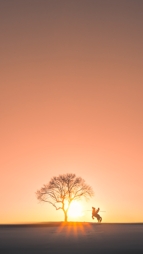 球员数据分析模型是否影响主帅更换时间点,球员数据表