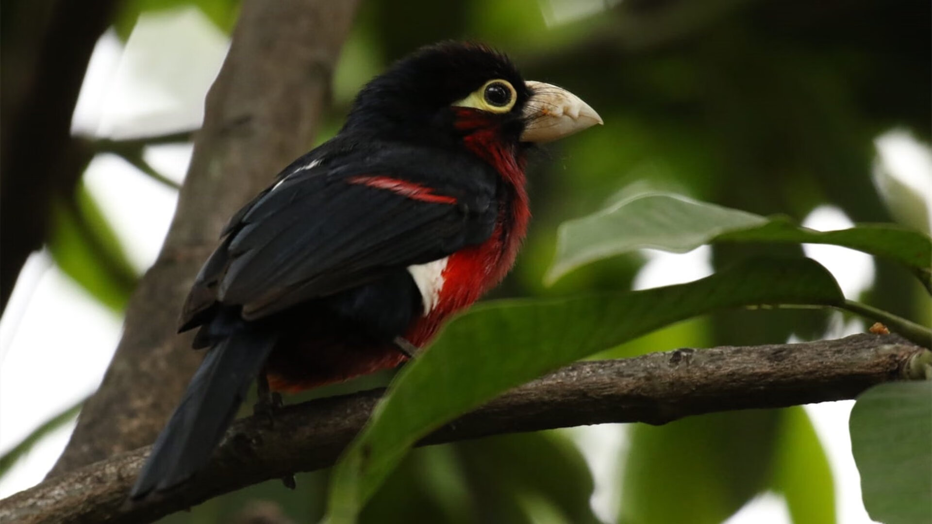 开云官网APP下载-皇家社会团队协作提高控场效率，皇家社会队员名单