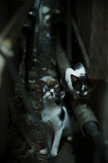 女篮国家队设立专项技术培训促进提升，女篮新手团队训练方法